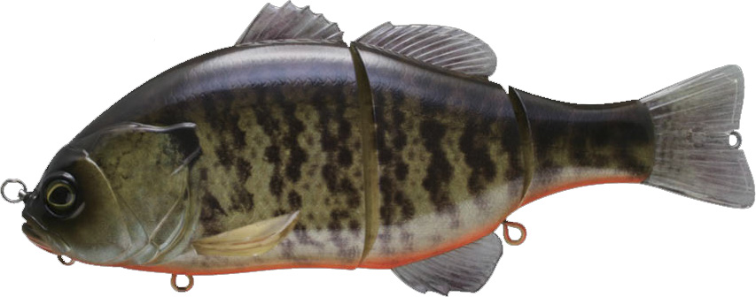 Jackall Gigantic Blue Gill Big Bait GIGANTAREL #RT Mat Gold Gill